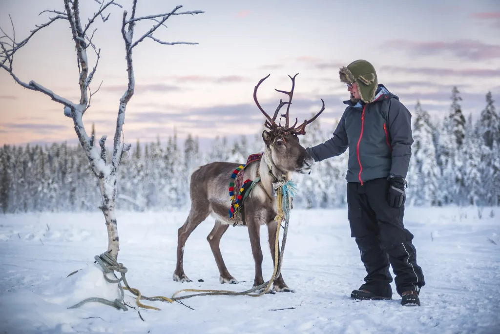 Coolcation Finland Lapland